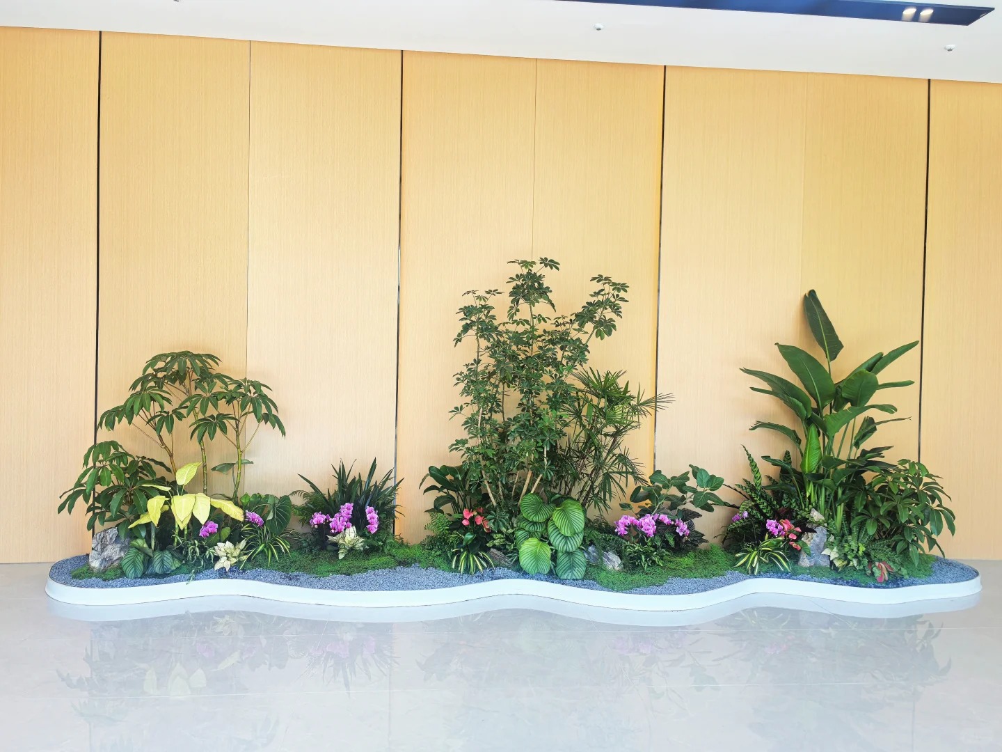 专业植物出租在宁波镇海，装点生活新模样